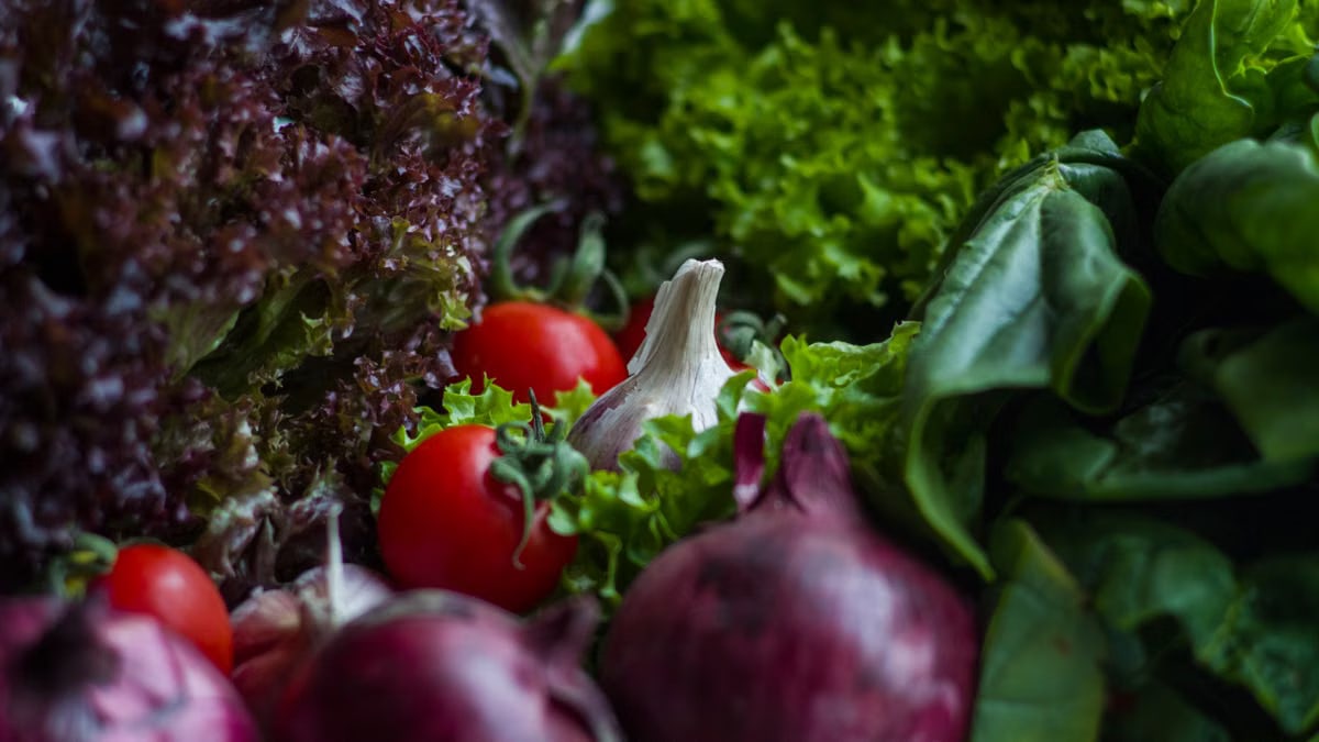 A vibrant assortment of fresh vegetables, featuring tomatoes, lettuce, and garlic, captured in natural light.